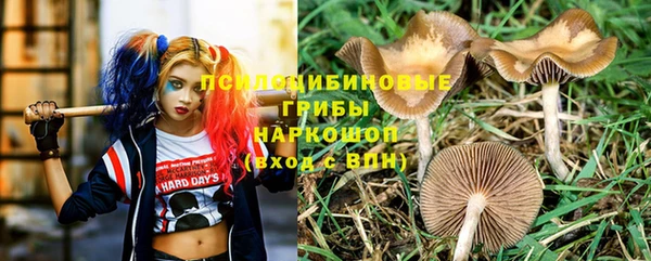 таблы Богданович